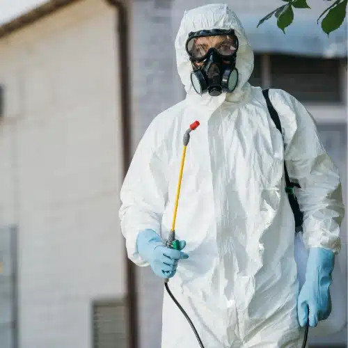 Pest Control Sydney Service