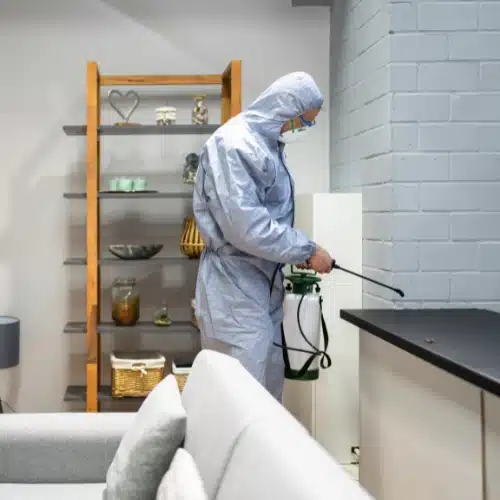 End of Lease Pest Control